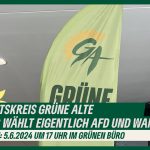 Arbeitskreis Grüne Alte: Wer wählt eigentlich AFD und warum?