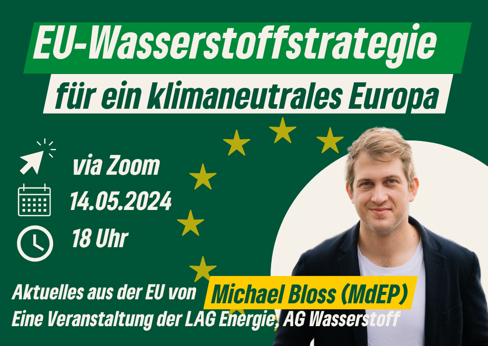 EU-Wasserstoffstrategie für ein Klimaneutrales Europa - Digitale Veranstaltung mit Michael Bloss (MdEP)