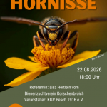 Die Asiatische Hornisse